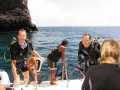 Filename=119_Thailand_Phi_Phi_Island.jpg
Filesize=255KB
Dimensions=800x600
Date added=Jan 08, 2009 119_Thailand_Phi_Phi_Island.jpg