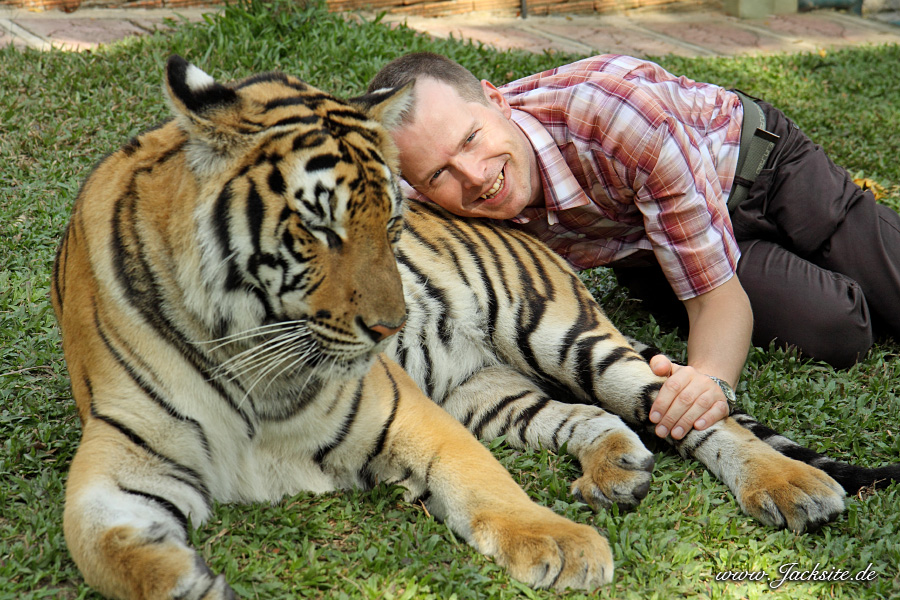 Tiger Kingdom Chiangmai